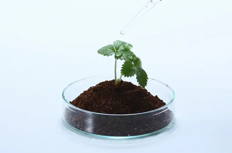 Sample Article